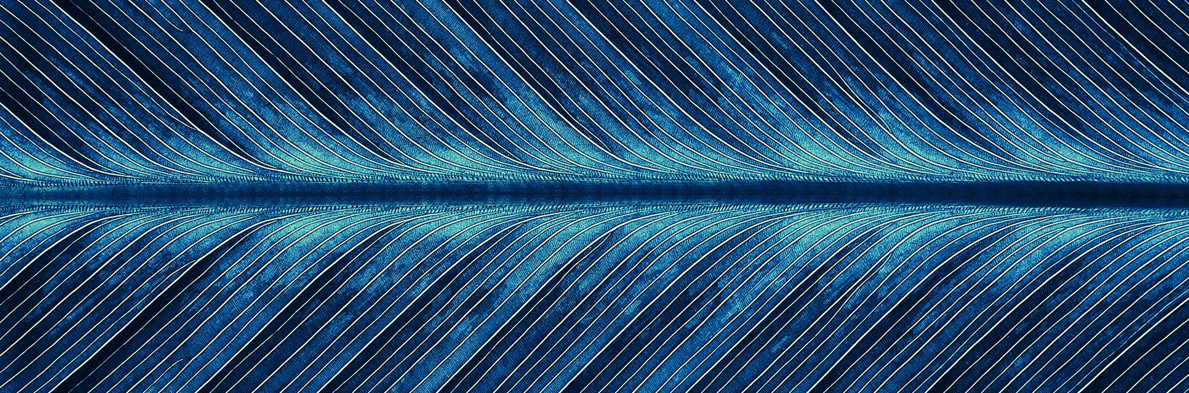 Perpetual Credit Income Trust