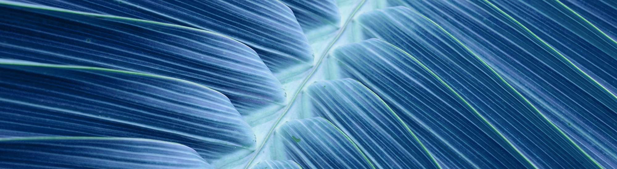 Perpetual Diversified Private Debt Fund