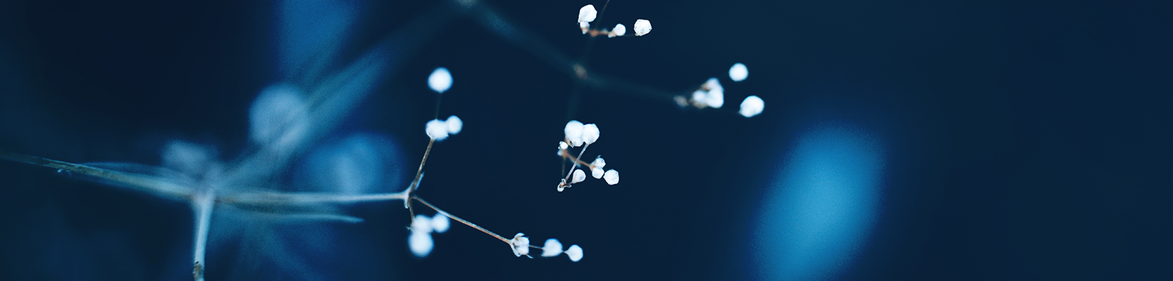 Perpetual Self Managed Super Fund Service and Perpetual Small APRA Fund Service