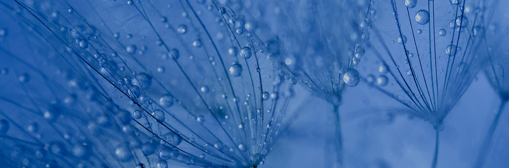 Perpetual Strategic Capital Fund - Class A